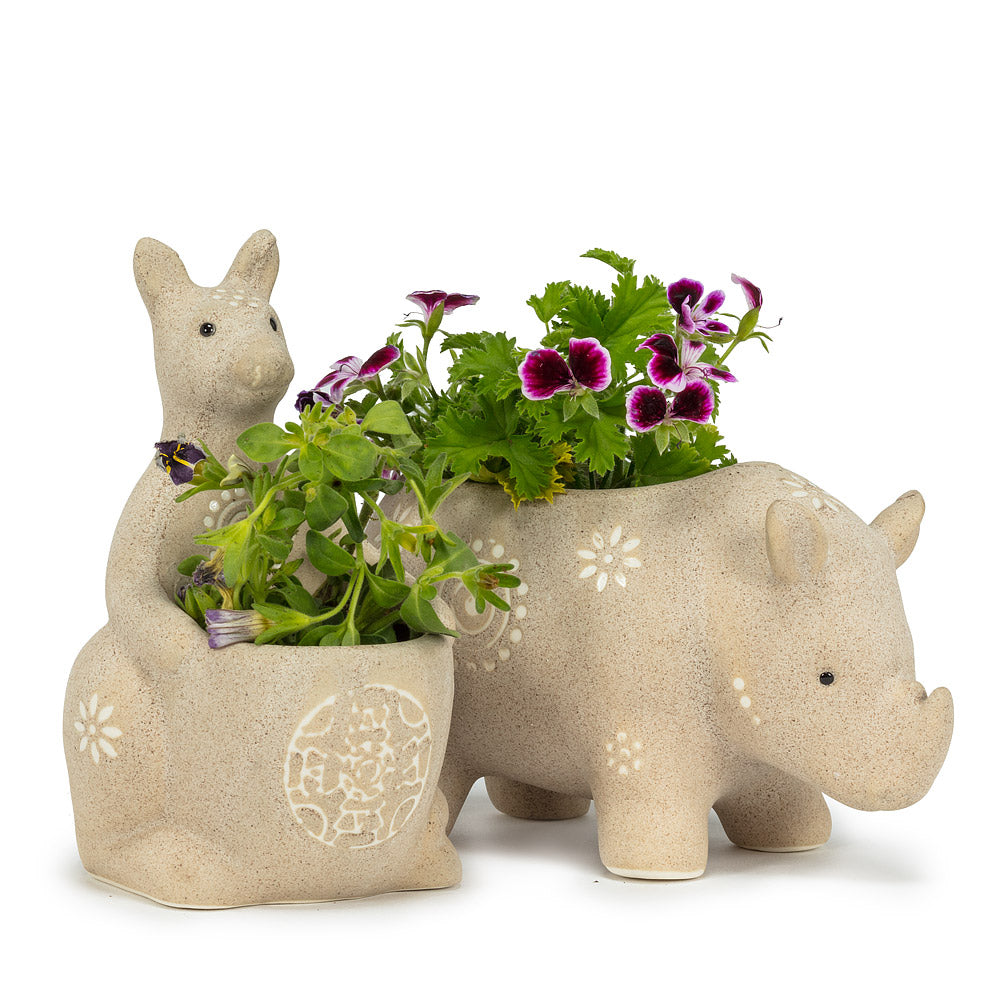 Planter Kangaroo