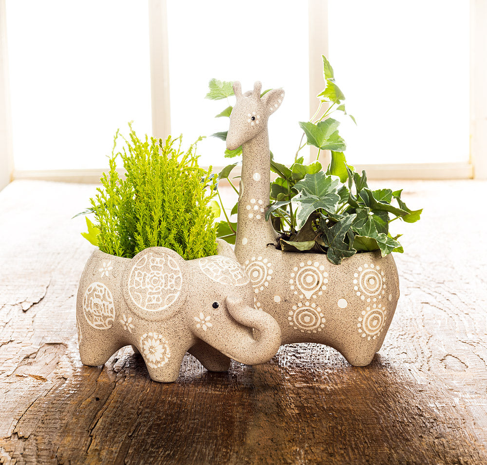 Planter Giraffe
