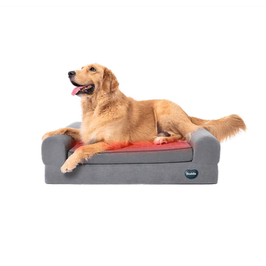 Kala Red Light - Pet Therapy Bed