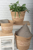Baskets with Handles (Set of 3)
