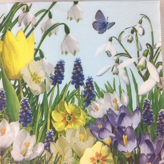 Napkins, Luncheon - Spring Time