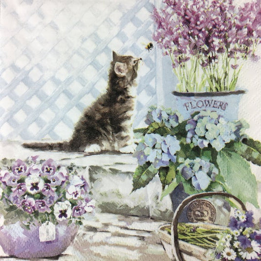 Napkins, Luncheon - Kitten