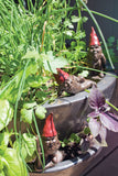 Garden Stake Gnomes with Hats