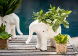 Planter Elephant Standing