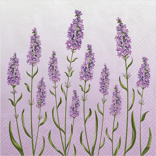 Napkins, Luncheon - Lavender Fields