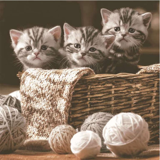 Napkins, Luncheon - Kittens